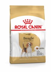 Kuivtoit koertele ROYAL CANIN Beagle adult, 12 kg hind ja info | Koerte kuivtoit ja krõbinad | hansapost.ee