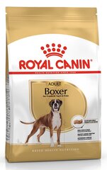 Royal Canin для боксеров Boxer,12 кг цена и информация | Сухой корм для собак | hansapost.ee