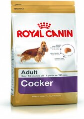 Kuivtoit Royal Canin kokkerspanjelitele Cocker Adult, 12 kg цена и информация | Сухой корм для собак | hansapost.ee