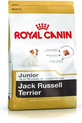 Royal Canin Jack Russelli terjerite tõule Junior, 1,5 kg hind ja info | Royal Canin Lemmikloomatarbed | hansapost.ee