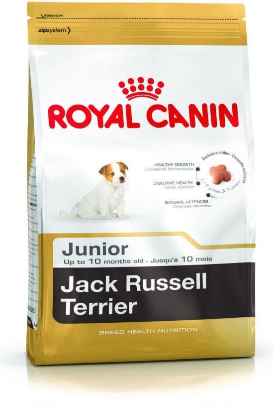 Royal Canin Jack Russelli terjerite tõule Junior, 1,5 kg цена и информация | Koerte kuivtoit ja krõbinad | hansapost.ee
