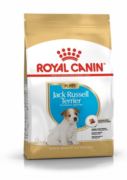 Royal Canin Jack Russelli terjerite tõule Junior, 1,5 kg цена и информация | Koerte kuivtoit ja krõbinad | hansapost.ee