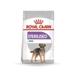 Royal Canin для стерилизованных собак Mini sterilised, 8 кг цена и информация | Royal Canin Для собак | hansapost.ee