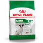Royal Canin väikestele eakatele koertele Mini Adult +8, 2 kg цена и информация | Koerte kuivtoit ja krõbinad | hansapost.ee