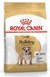 Royal Canin buldogi tõule Bulldog Adult, 12 kg цена и информация | Koerte kuivtoit ja krõbinad | hansapost.ee