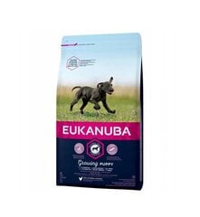 Eukanuba сухой корм для щенков крупных пород  до 12 месяцев, со свежей курицей, 15 кг цена и информация | Eukanuba Товары для животных | hansapost.ee