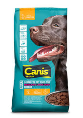 Canis сухой корм с домашней птицей для взрослых собак, 3 кг цена и информация | Сухой корм для собак | hansapost.ee