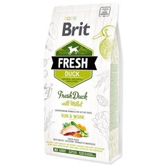 Brit Fresh Duck & Millet Adult Run & Work полноценный корм для взрослых собак 2,5 кг цена и информация | Сухой корм для собак | hansapost.ee