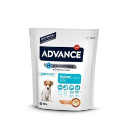 ADVANCE DOG PUPPY MINI 0.8KG - ДЛЯ ЩЕНКОВ МЕЛКИХ ПОРОД (КУРИЦА И РИС) цена и информация | Сухой корм для собак | hansapost.ee