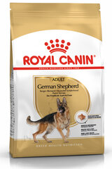 Kuivtoit Royal Canin täiskasvanud Saksa lambakoertele, 11 kg цена и информация | Сухой корм для собак | hansapost.ee