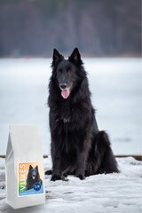 Gurmee kuivtoit koertele, kalkunimaksaga Vukės mėgstamiausias, 3 kg цена и информация | Сухой корм для собак | hansapost.ee