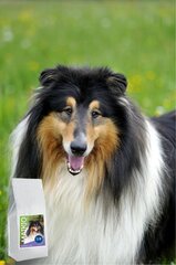 Gurmee kuivtoit väikest tõugu koertele, kanaliha ja riisiga Maikio mėgstamiausias, 3 kg цена и информация | Сухой корм для собак | hansapost.ee