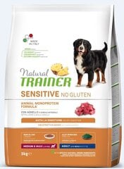 Kuivtoit koertele lambalihaga Natural Trainer Sensitive No Gluten keskmist ja suurt tõugu koertele, 3 kg hind ja info | Koerte kuivtoit ja krõbinad | hansapost.ee