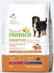 Natural Trainer Sensitive No Gluten для собак средних и крупных пород с лососем 3 кг цена и информация | Сухой корм для собак | hansapost.ee