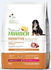 Kuivtoit koertele pardilihaga Natural Trainer Sensitive No Gluten keskmist ja suurt tõugu noortele koertele, 3 kg hind ja info | Koerte kuivtoit ja krõbinad | hansapost.ee