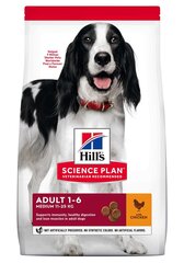 Kuivtoit koertele Hill's Science Plan Medium Adult kanalihaga, 14 kg hind ja info | Koerte kuivtoit ja krõbinad | hansapost.ee