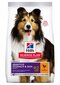 Hill's Sience Plan Sensitive Stomach & Skin Medium Adult koeratoit kanaga, 2,5 kg hind ja info | Koerte kuivtoit ja krõbinad | hansapost.ee