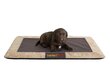 Vaip Hobbydog XL, 110x90 cm, pruun цена и информация | Pesad, asemed | hansapost.ee