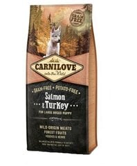 Kuivtoit koertele Carni Love Salmon & Turkey Puppy Large Breed 12kg hind ja info | Koerte kuivtoit ja krõbinad | hansapost.ee