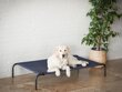 Hobbydog pesa Iron Dark Blue XL, 100x55x20 cm hind ja info | Pesad, asemed | hansapost.ee