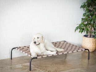 Hobbydog pesa Iron Beige Paws XL, 100x55x20 cm hind ja info | Pesad, asemed | hansapost.ee