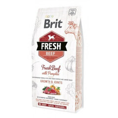 Brit Fresh Beef & Pumpkin Puppy Large Bones & Joints koeratoit 12 kg hind ja info | Brit Fresh Lemmikloomatarbed | hansapost.ee