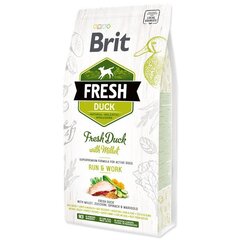 Brit Fresh Duck & Millet Adult Run & Work koeratoit 12 kg price and information | Koerte kuivtoit ja krõbinad | hansapost.ee