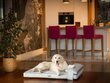 Koera madrats Hobbydog Move Grey, XL, 118x78 cm hind ja info | Pesad, asemed | hansapost.ee