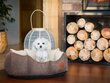 Koera pesa Hobbydog New York Premium, L, Brown, 60x52 cm hind ja info | Pesad, asemed | hansapost.ee