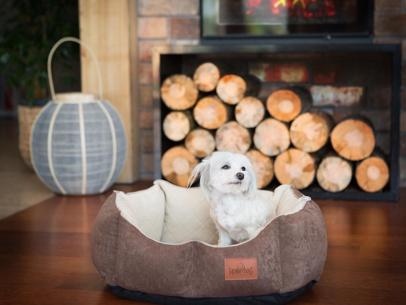 Koera pesa Hobbydog New York Premium, L, Brown, 60x52 cm hind ja info | Pesad, asemed | hansapost.ee