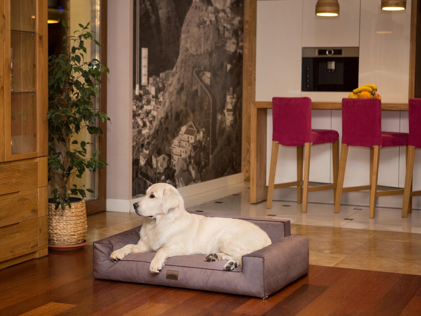 Hobbydog pesa Glamour New Brown Fancy, XL, 98x66 cm hind ja info | Pesad, asemed | hansapost.ee