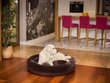 Hobbydog pesa Rabbit Brown, XL, 75x75 cm цена и информация | Pesad, asemed | hansapost.ee