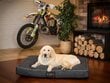 Hobbydog madrats Must Ekolen XL, 120x90 cm цена и информация | Pesad, asemed | hansapost.ee