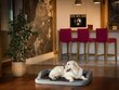 Hobbydog pesa Medico Standard Tumehall Ekolen/Must L, 75x50 cm цена и информация | Pesad, asemed | hansapost.ee