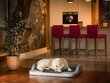 Hobbydog pesa Medico Standard Helehall Oxford/Graphite XL, 94x62 cm hind ja info | Pesad, asemed | hansapost.ee