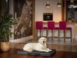 Hobbydog madrats Premium Black/Black Ekolen XL, 120x80 cm hind ja info | Pesad, asemed | hansapost.ee