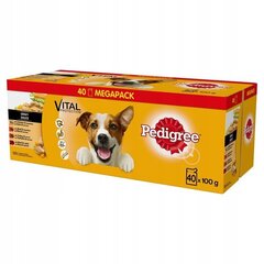 Pedigree консервный набор для собак Vital Protection, 4 кг цена и информация | Консервы для собак | hansapost.ee