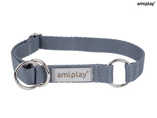 Amiplay poolpoov kaelarihm Samba, M, Grey hind ja info | Koerte kaelarihmad ja traksid | hansapost.ee