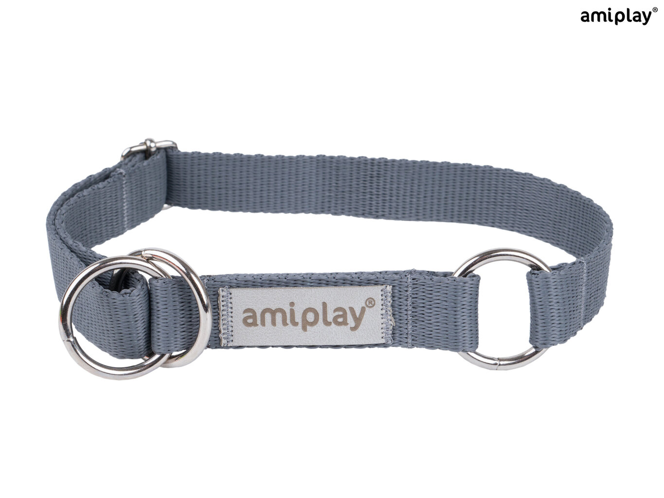 Amiplay poolpoov kaelarihm Samba, XL, Grey hind ja info | Koerte kaelarihmad ja traksid | hansapost.ee