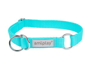 Amiplay cлип-ошейник Samba, XL, Turquoise цена и информация | Ошейники, подтяжки для собак | hansapost.ee