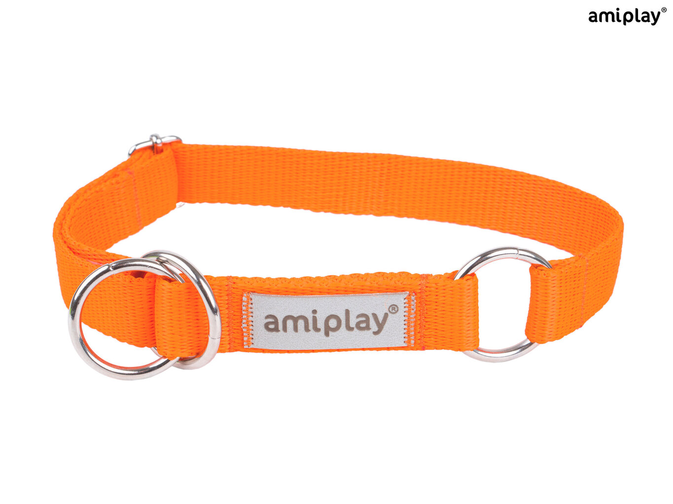 Amiplay poolpoov kaelarihm Samba, XL, Orange hind ja info | Koerte kaelarihmad ja traksid | hansapost.ee