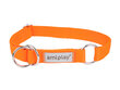 Amiplay poolpoov kaelarihm Samba, XL, Orange hind ja info | Koerte kaelarihmad ja traksid | hansapost.ee