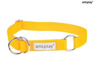 Полуавтоматический ошейник Amiplay Samba, XL, Yellow цена и информация | Ошейники, подтяжки для собак | hansapost.ee