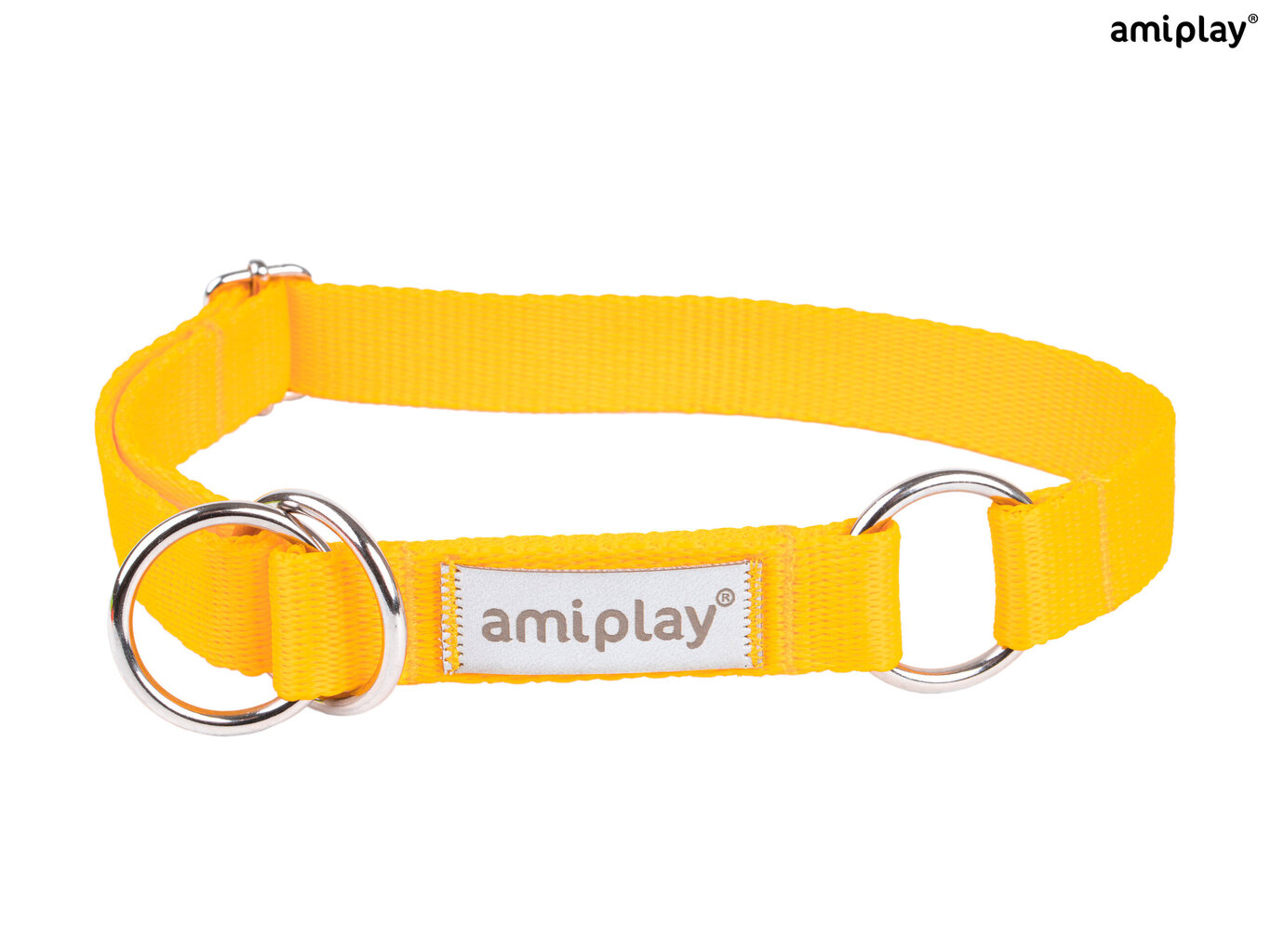 Amiplay poolpoov kaelarihm Samba, XL, Yellow цена и информация | Koerte kaelarihmad ja traksid | hansapost.ee