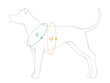 Reguleeritavad koerte traksid Amiplay EASY GO Samba, XL, Green hind ja info | Koerte kaelarihmad ja traksid | hansapost.ee
