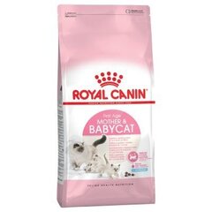 Royal Canin Babycat 400g hind ja info | Kassi kuivtoit ja kassikrõbinad | hansapost.ee