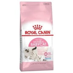 Royal Canin Babycat, 2 kg hind ja info | Kassi kuivtoit ja kassikrõbinad | hansapost.ee