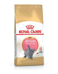 Royal Canin Briti lühikarvalistele kassipoegadele, 10 kg hind ja info | Kassi kuivtoit ja kassikrõbinad | hansapost.ee