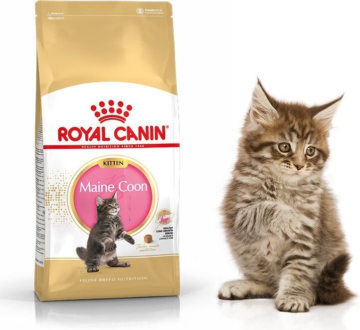 Royal Canin Meini tõugu kassipoegadele, 0.4 kg hind ja info | Kassi kuivtoit ja kassikrõbinad | hansapost.ee