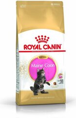 Royal Canin Meini tõugu kassipoegadele, 0.4 kg цена и информация | Сухой корм для кошек | hansapost.ee